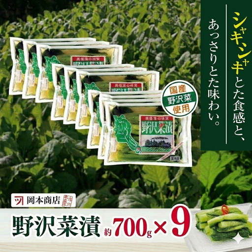 【漬物】【野沢菜漬】 岡本商店の野沢菜漬 約700g×9（冷蔵）｜ 漬物 野沢菜漬け 野沢菜 長野県 木島平村 信州