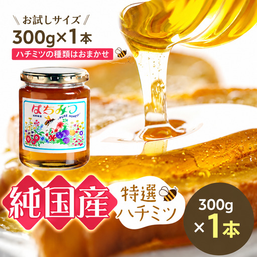 芳川養蜂場特選ハチミツ 約300g ×1本 | ハチミツ はちみつ 蜂蜜 国産 長野県 信州 木島平村