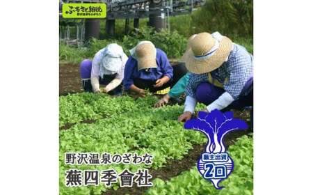 野沢温泉のざわな蕪四季會社 蕪主出資2口 | P-2