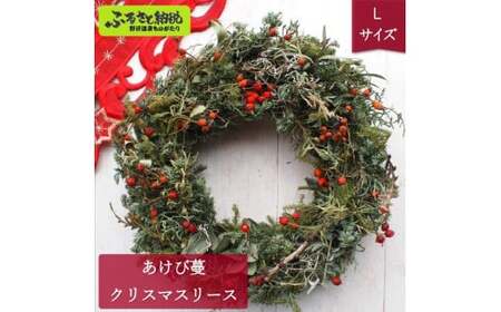 あけび蔓 クリスマスリース Lサイズ |