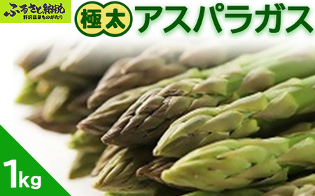 極太アスパラガス1kg | J-3 ※2026年5月中旬頃より順次発送予定