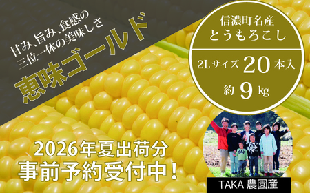[2026年夏の予約受付開始!]信濃町名産とうもろこし『TAKA農園の恵味(めぐみ)ゴールド』2Lサイズ(1本450g相当)×20本セット、約9kg/スイートコーン人気品種、現在出荷中! 2026年7月下旬から8月下旬まで随時出荷予定[長野県信濃町ふるさと納税]