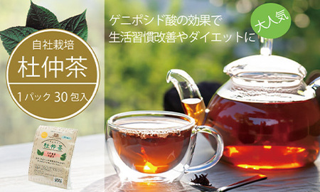 [ふるさと納税]黒姫和漢薬研究所「自社栽培 杜仲茶30包」4個セット|農薬・化学肥料不使用・県内産の完全自然栽培茶葉をこだわりのダブル焙煎[長野県信濃町]