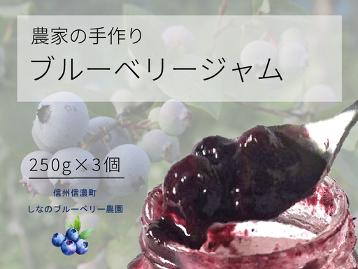 信濃町産「ブルーベリージャム」 250g×3個セット　粒が大きく味の濃いハイブッシュ系にこだわったブルーベリーのジャム【長野県信濃町／しなのブルーベリー農園】