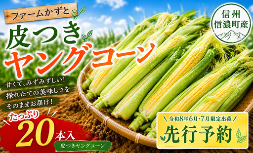 皮付きヤングコーン≪20本≫令和8年6月・7月限定出荷 とうもろこし ゴールドラッシュ／ファームかずと【長野県信濃町】