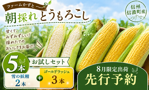 [先行予約]ホワイトコーン「雪の妖精」イエローコーン「ゴールドラッシュ」 5本セット 生で食べられる とうもろこし 令和8年8月限定出荷 ファームかずと[長野県信濃町ふるさと納税]