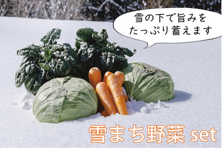 雪まち野菜セット(キャベツ、ニンジン、ほうれん草、くらかけ豆)季節・数量限定