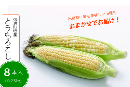 [2025年夏の予約受付開始!]採れたて最旬の『信濃町特産とうもろこし(8本セット:季節限定)』出荷時期により最も美味しい品種を発送します[長野県信濃町ふるさと納税]