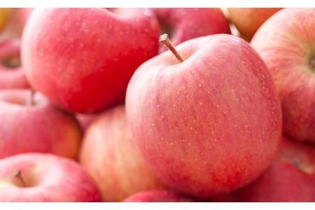 [0131]【先行予約】丸山農園のりんご　サンふじ（大玉）　特秀5kg（有機・減農薬栽培）　長野県飯綱町産