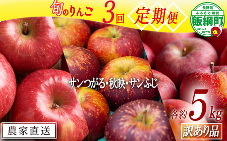 季節のりんご [定期便] 旬の3品種 4.5 〜 5kg × 3回 訳あり 松橋りんご園 沖縄へは配送不可 2024年9月上旬から発送予定 長野県 飯綱町 [1840]