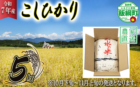 [ 2025年10月下旬 〜 2025年11月上旬 発送企画 ] 米 こしひかり 5kg ( 令和7年産 ) 沖縄県への配送不可 10月下旬頃から11月上旬頃まで順次発送予定 株式会社マッシュアンドフルーツ コシヒカリ 白米 精米 お米 信州 予約 農家直送 長野県 飯綱町 [2013]