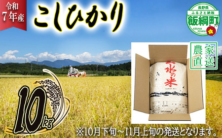 [ 2025年10月下旬 〜 2025年11月上旬 発送企画 ] 米 こしひかり 10kg ( 令和7年産 ) 10月下旬頃から11月上旬頃まで順次発送予定 株式会社マッシュアンドフルーツ コシヒカリ 白米 精米 お米 信州 予約 農家直送 長野県 飯綱町 [2014]