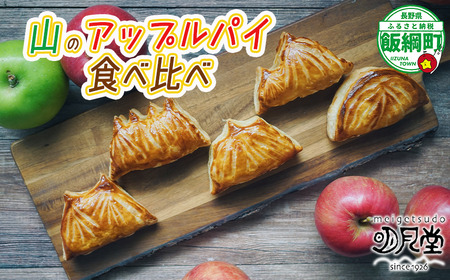 [ 冷凍便 ] りんご 山のアップルパイ GOGAKU 5個入 明月堂 配送先は本州限定 信州 リンゴ 林檎 お菓子 洋菓子 焼菓子 焼きたて スイーツ パイ ケーキ 自家製 おやつ おいしい 甘味 お取り寄せ 手土産 お祝い 人気 14500円 長野 長野県 飯綱町 [1905]