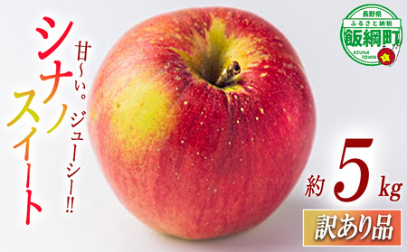 りんご シナノスイート 5kg 訳あり ふるさと振興公社 沖縄へは配送不可 2025年10月下旬から発送予定 長野県 飯綱町 [2019]