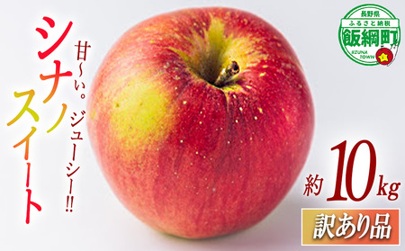 りんご シナノスイート 10kg 訳あり ふるさと振興公社 2025年10月下旬から発送予定 長野県 飯綱町 [2020]