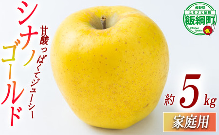 りんご シナノゴールド 5kg 家庭用 ふるさと振興公社 2025年11月上旬から発送予定 長野県 飯綱町 [2021]