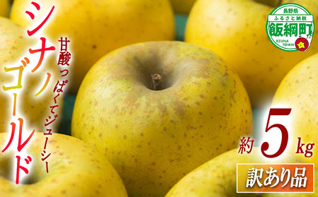 りんご シナノゴールド 5kg 訳あり ふるさと振興公社 沖縄へは配送不可 2025年11月上旬から発送予定 長野県 飯綱町 [2022]