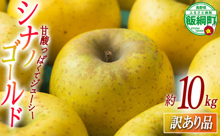 りんご シナノゴールド 10kg 訳あり ふるさと振興公社 2025年11月上旬から発送予定 長野県 飯綱町 [2023]