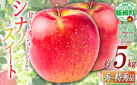 りんご シナノスイート 特秀 5kg 令和8年度収穫分 沖縄県への配送不可 2026年10月上旬頃から2026年10月中旬頃まで順次発送予定 宮本ファーム エコファーマー 減農薬栽培 長野県 飯綱町 [2091]