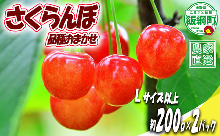 [ Lサイズ以上 冷蔵便 朝採り 当日発送 ] さくらんぼ Lサイズ以上 200g × 2パック ( 品種おまかせ ) 配送先は本州限定 2026年6月中旬〜2026年7月上旬まで順次発送予定 チェリー サクランボ 長野県 飯綱町 [2076]