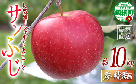 りんご サンふじ 秀 〜 特秀 10kg 一里山農園 2026年12月上旬頃から2026年12月中旬頃まで順次発送予定 令和8年度収穫分 エコファーマー 減農薬栽培 信州 果物 フルーツ リンゴ 林檎 長野 予約 農家直送 長野県 飯綱町 [2104]