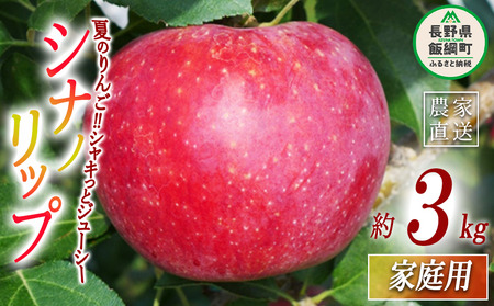 りんご シナノリップ 家庭用 3kg ヤマウラ農園 沖縄県への配送不可 2026年8月中旬頃から2026年8月下旬頃まで順次発送予定 令和8年度収穫分 信州 果物 フルーツ リンゴ 林檎 長野 予約 農家直送 長野県 飯綱町 [1569]