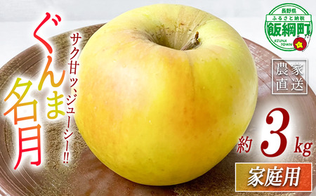 りんご 名月 ぐんま名月 家庭用 3kg ヤマウラ農園 沖縄県への配送不可 2026年11月中旬頃から2026年11月下旬頃まで順次発送予定 令和8年度収穫分 信州 果物 フルーツ リンゴ 林檎 長野 予約 農家直送 長野県 飯綱町 [2097]