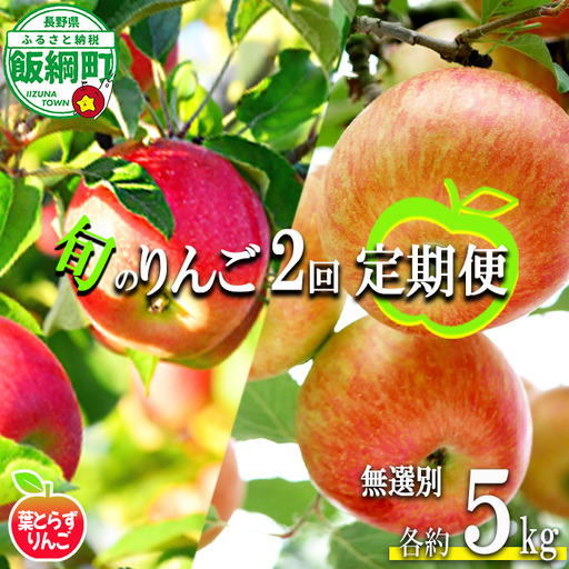 旬のりんご [ 定期便 ] 葉とらず 無選別 5kg × 2回 エバラ農園 減農薬栽培 沖縄県への配送不可 2026年10月中旬頃から2026年11月下旬頃まで順次発送予定 令和8年度収穫分 長野県 飯綱町 [1881]
