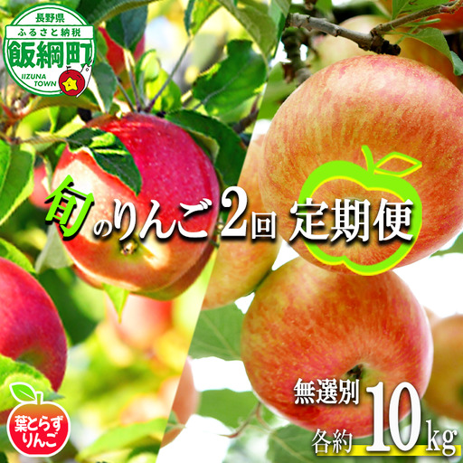 旬のりんご [ 定期便 ] 葉とらず 無選別 10kg × 2回 エバラ農園 減農薬栽培 2026年10月中旬頃から2026年11月下旬頃まで順次発送予定 令和8年度収穫分 長野県 飯綱町 [1951]