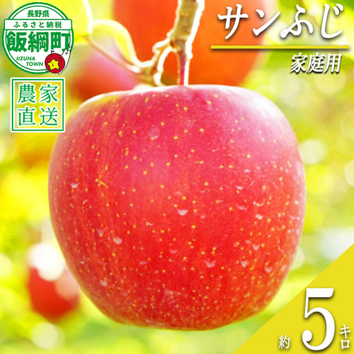 りんご サンふじ 家庭用 5kg 清次郎農園 沖縄県への配送不可 2026年12月上旬頃から2026年12月下旬頃まで順次発送予定 令和8年度収穫分 信州 果物 フルーツ リンゴ 林檎 長野 予約 農家直送 長野県 飯綱町 [2118]