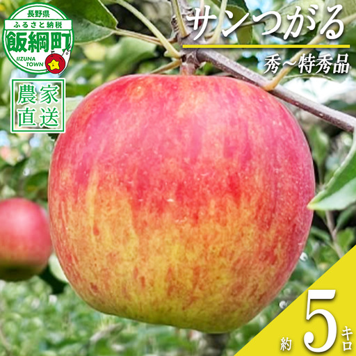 りんご サンつがる 秀 〜 特秀 5kg 若林農園 沖縄県への配送不可 2026年8月下旬頃から2026年9月上旬頃まで順次発送予定 令和8年度収穫分 信州 果物 フルーツ リンゴ 林檎 長野 予約 農家直送 長野県 飯綱町 [2121]