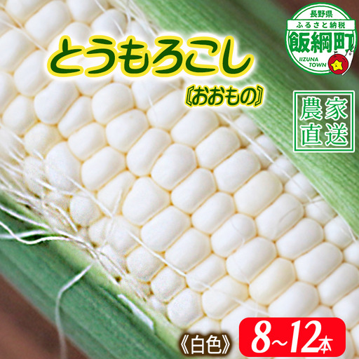 信州産 朝採り [ 白色 ] とうもろこし 8本 〜 12本 ( 品種 おおもの ) 上倉荘 配送先は本州限定 2026年8月上旬頃から2026年9月中旬頃まで順次発送予定 信州 トウモロコシ コーン おおもの 野菜 白色 ホワイト 長野県 飯綱町 [2015]