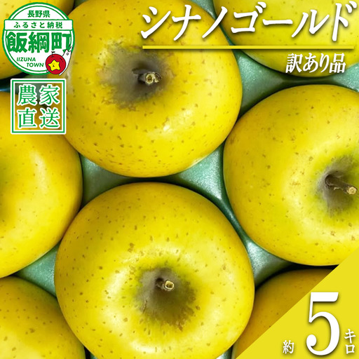 りんご シナノゴールド 訳あり 5kg アグリファーム小林 信州の環境にやさしい農産物認証 ( 長野県認証 No50-30-00064 ) 沖縄県への配送不可 2026年11月上旬頃から2026年11月下旬頃まで順次発送予定 令和8年度収穫分 長野県 飯綱町 [2127]