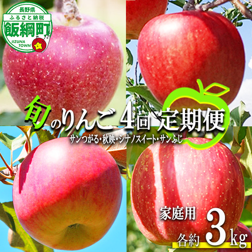旬のりんご [ 定期便 ] 家庭用 3kg × 4回 丸山りんご園 沖縄県への配送不可 2026年9月上旬頃から2026年12月中旬頃まで順次発送予定 令和8年度収穫分 信州 果物 フルーツ リンゴ 林檎 長野 予約 農家直送 長野県 飯綱町 [0709]