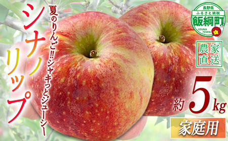 りんご シナノリップ 家庭用 5kg 渡辺農園 沖縄県への配送不可 2026年8月中旬頃から2026年8月下旬頃まで順次発送予定 令和8年度収穫分 エコファーマー認定 減農薬栽培 長野県 飯綱町 [0802]