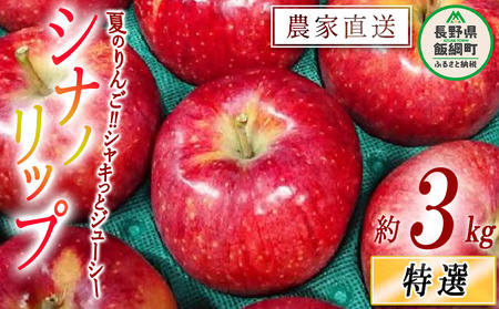 りんご シナノリップ 特選 3kg やまじゅうファーム 沖縄県への配送不可 2024年8月下旬頃から2024年9月上旬頃まで順次発送予定 令和6年度収穫分 信州の環境にやさしい農産物 減農薬栽培 長野県 飯綱町 [0850]