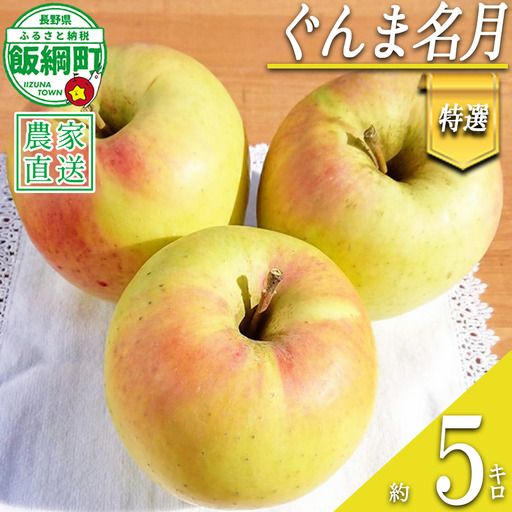 りんご ぐんま名月 特選 5kg やまじゅうファーム 沖縄県への配送不可 2026年11月下旬頃から2026年12月上旬頃まで順次発送予定 令和8年度収穫分 信州の環境にやさしい農産物 減農薬栽培 長野県 飯綱町 [0528]