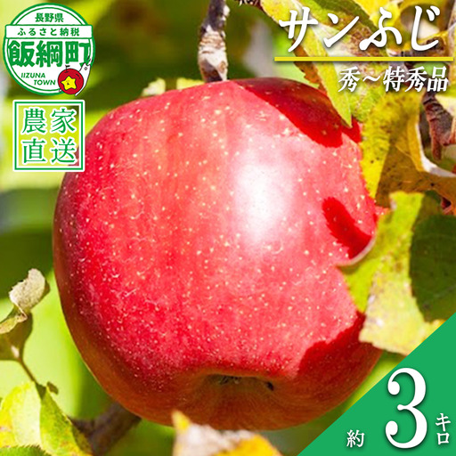 りんご サンふじ 秀 〜 特秀 3kg 松澤農園 沖縄県への配送不可 2026年11月下旬頃から2027年2月上旬頃まで順次発送予定 令和8年度収穫分 長野県 飯綱町 [1336]