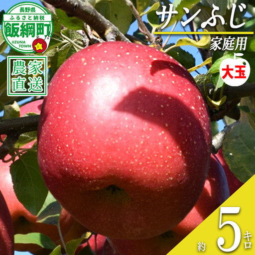 りんご サンふじ ( 大玉 ) 家庭用 5kg ファームたんぽぽ 沖縄県への配送不可 2026年12月上旬頃から2027年1月下旬頃まで順次発送予定 令和8年度収穫分 信州 果物 フルーツ リンゴ 林檎 長野 予約 農家直送 長野県 飯綱町 [0613]