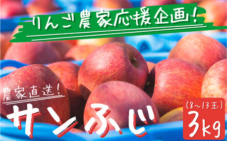 [農家応援企画] りんご サンふじ 3Kg 訳あり 〜 家庭用[ ふじ リンゴ 林檎 訳アリ わけあり 不揃い 果物 くだもの フルーツ 長野県産 長野 お試し 9000円 ]令和6年収穫分 2024年11月下旬 から順次発送予定 長野県 飯綱町 [0566]