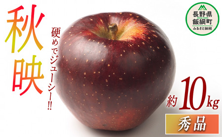 りんご 秋映 秀 10kg 光センサー選別品 ながの農業協同組合 2025年10月上旬頃から2025年10月下旬頃まで順次発送予定 令和7年度収穫分 信州 果物 フルーツ リンゴ 林檎 長野 24000円 予約 長野県 飯綱町 [0343]