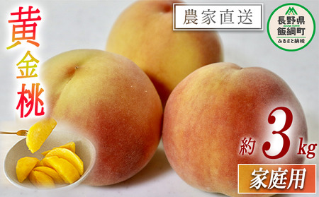 もも 黄金桃 ( 袋かけ無し ) 家庭用 3kg 松橋りんご園 配送先は本州限定 2026年8月中旬頃から2026年9月中旬頃まで順次発送予定 令和8年度収穫分 フルーツ 果物 モモ 桃 長野県 飯綱町 [1383]