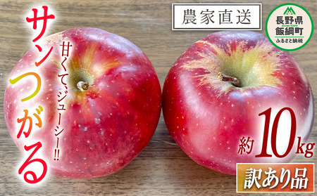 りんご サンつがる 訳あり 10kg 令和7年度収穫分 沖縄県への配送不可 2025年9月上旬頃から2025年9月下旬頃まで順次発送予定 宮本ファーム エコファーマー 減農薬栽培 長野県 飯綱町 [1530]