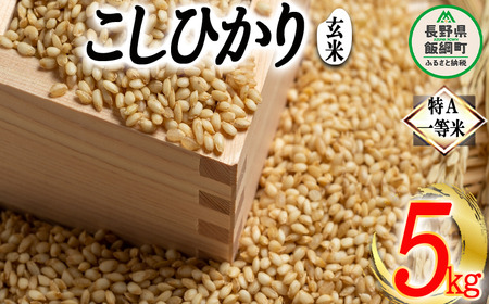 玄米 コシヒカリ 5kg 特A 沖縄県への配送不可 ふるさと振興公社 お米 こしひかり 信州 長野県 飯綱町 [1559]