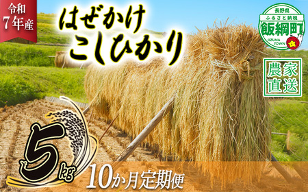  ͂ Ђ 5kg × 10 y 10  z( ߘa7NY ) ct@[ ꌧւ̔zs 2025N11{珇\ RVqJ    MB \ _ƒ 