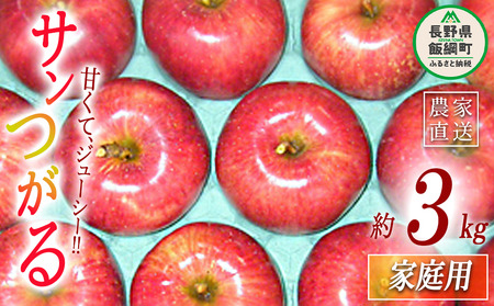 りんご サンつがる 家庭用 3kg ヤマウラ農園 沖縄県への配送不可 2026年9月上旬頃から2026年9月中旬頃まで順次発送予定 令和8年度収穫分 信州 果物 フルーツ リンゴ 林檎 長野 予約 農家直送 長野県 飯綱町 [1572]