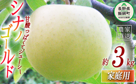りんご シナノゴールド 家庭用 3kg ヤマウラ農園 沖縄県への配送不可 2026年11月上旬頃から2026年11月中旬頃まで順次発送予定 令和8年度収穫分 信州 果物 フルーツ リンゴ 林檎 長野 予約 農家直送 長野県 飯綱町 [1583]
