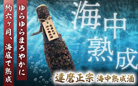 達磨正宗 海中熟成酒(日本酒・純米酒) 清酒 お酒 半年熟成 岐阜市/白木恒助商店 [ANBG004]