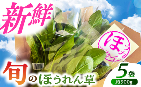[こだわりの秋蒔き路地栽培]旬で旨いほうれん草(5袋 900g) 産地直送 野菜 ほうれんそう 岐阜市/大塚農園 [ANDQ003]