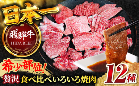 [飛騨牛]贅沢食べ比べ12種(各100g 計1200g)いろいろ焼肉 上バラ サーロイン 牛ヒレ 岐阜市/丸福商店 [ANBO028]